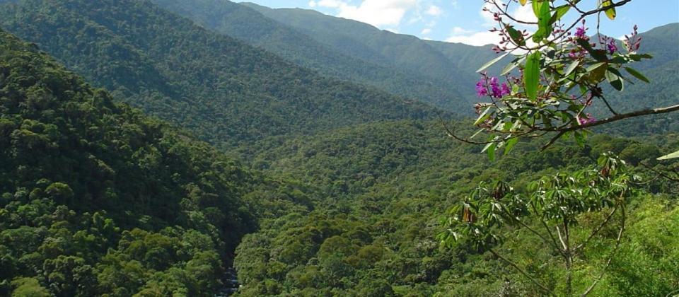 Stay In Itatiaia Exterior foto